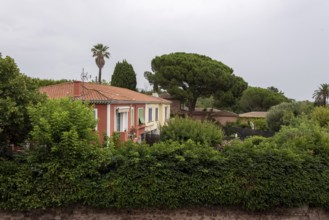 Traditional house in Fréjus, with pine trees and palm trees behind, Fréjus, Var,