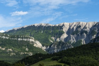 Lure plateau (1825m), Alpes de Haute Provence, Provence-Alpes-Côtes d'Azur, France, Europe