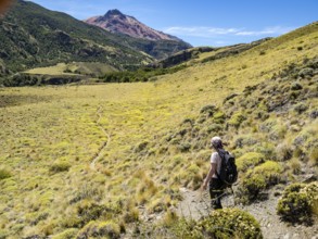 Woman on hiking trail 'Aviles loop', Park Patagonia, east of Cochrane on road to argentinian border