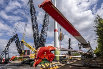 Erection of a wind turbine, wind energy plant, assembly of the ring generator, with a crawler