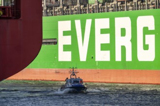 Container ship Ever Gifted, in the port of Hamburg, Waltershofer Hafen, HHLA Container Terminal