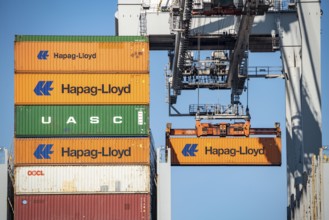 Container loading in the seaport of Rotterdam, Maasvlakte 2, Container Terminal, in Rotterdam