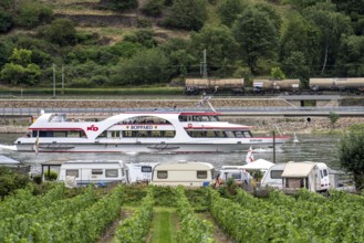 Upper Middle Rhine Valley, north of Bingen, Marienort campsite, excursion boat Boppard on the