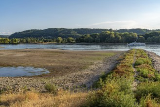 The Rhine at extremely low water, near Bad Honnef Rhöndorf, below the Drachenfels, Nonnenwerth