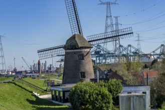 The port of Antwerp, on the Scheldt, is the second largest seaport in Europe, container port DP