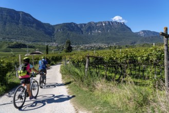 Cycle path through the wine-growing areas in South Tyrol, near Kaltern on the wine route, shortly