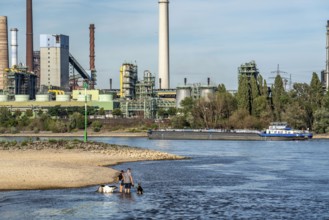 Low water level on the Rhine, banks dry up, sandbanks in the river, shipping can only navigate with