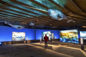 Plante Ozean exhibition in the Gasometer in Oberhausen, the world's oceans in their fragile beauty