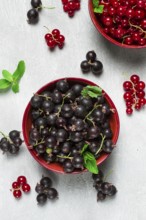 Bowls with berries, black and red currants, top view, food concept, no people