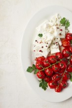 Baked cherry tomatoes, with cheese, and spices, on a white plate, homemade, no people