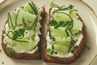 Breakfast, cereal bread sandwiches, cream cheese, sliced cucumber, with micro greenery on a light