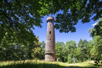 The Ludwigsturm, hiking destination in the Palatinate Forest near Edenkoben, Germany, Europe