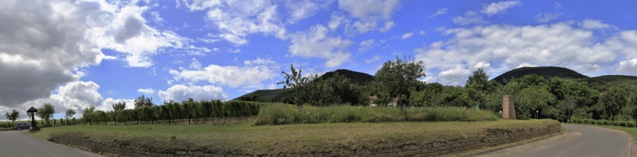 View from Edenkoben towards the Palatinate Forest with the Blättersberg in the centre of the