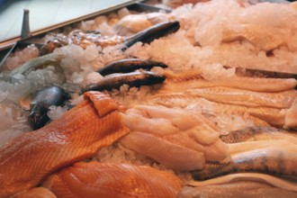 Close-up of a fish counter with fish and seafood