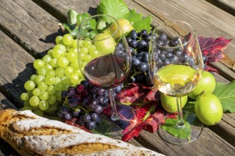 Symbolic image of grape grape harvest: Ripe grapes decorated with wine glasses on a wooden table