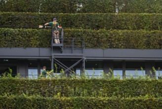 Green façade, made of over 30, 000 hornbeams forming a hedge a good 8 kilometres long, on the roof