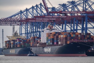 Container terminal Tollerort, container ships are loaded and unloaded, one of 4 container terminals