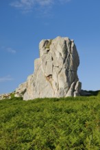 Striking boulders surrounded by ferns on the Pink Granite Coast in Brittany, France, Europe