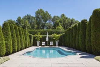 In-ground swimming pool and lounge chairs with parasol, planters bordered by rows of Thuja