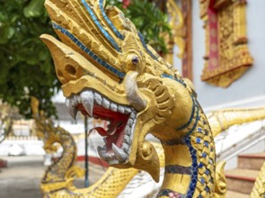 Naga deities at Wat Nong Sikhounmuang, Luang Prabang, Laos, Asia