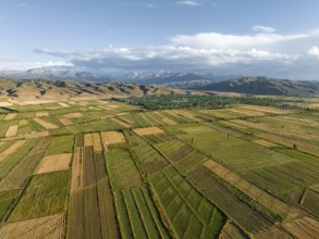 Aerial view, Cultivated fields, Agriculture, Landscape, Kyrgyzstan, Asia