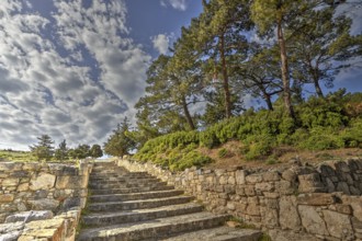 HDR, super wide angle shot, stone stairs between ancient walls, surrounded by trees and vegetation,