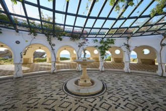 Inner courtyard with a glass roof and a central ornamental fountain, framed by climbing plants and