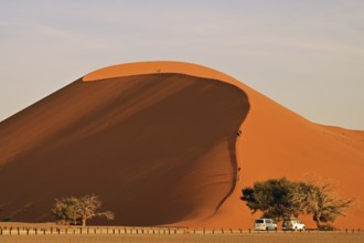 Dune 45, Namib Desert, Namibia, Africa