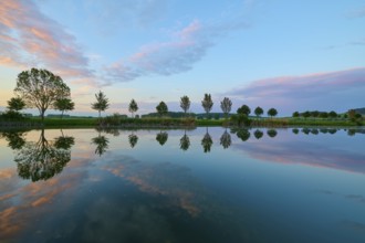 Lake in spring with row of trees and reflection at sunset, Drei Gleichen, Ilm-Kreis, Thuringia,