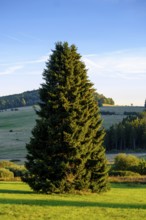 View from the Heidelstein, Schwabenhimmel, UNESCO Biosphere Reserve, near Hausen, Rhön, Bavarian