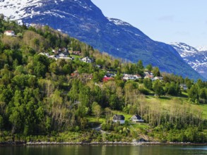 Mountains and Fjord over Norwegian Village, Olden, Innvikfjorden, Norway, Europe