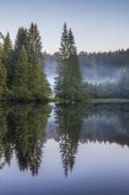 Small lake in the Thuringian Forest at dawn, spruce forest with morning mist reflected, Thuringia,