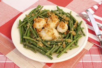 Swabian cuisine, yeast dumplings with green beans, breadcrumbs, served on a plate, typical Swabian,