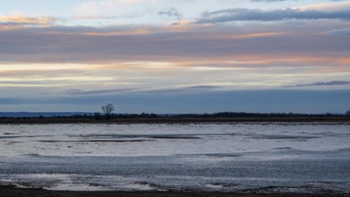 Sunset, frozen lake, Zicksee, Neusiedler See-Seewinkel National Park, Burgenland, Austria, Europe