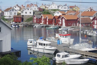 Harbour with several boats and traditional Scandinavian wooden houses, quiet atmosphere in a