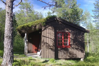 Small rustic wooden hut with a red window and a door in a green forest, typical holiday huts on a