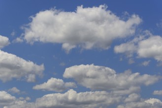 Cloud formation, blue sky with cumulus clouds, North Rhine-Westphalia, Germany, Europe