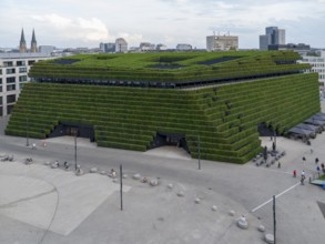 Der Kö Bogen II, Europas größte Grünfassade aus Hainbuchen, Düsseldorf, Nordrhein-Westphalen, NRW,