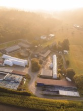 Aerial view of a farm with buildings and surrounding fields at sunset, Gechingen, Black Forest,