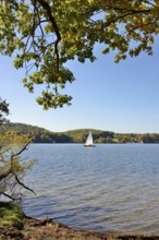 Deciduous trees with autumn leaves on the lakeshore, sailing boat on the Möhne dam, blue sky, North