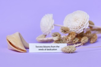 Fortune cookie with motivational text on paper saying 'Success blooms from the seeds of dedication'