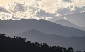 Clouds over cloud forest, mountain rainforest, Parque Nacional Los Quetzales, Costa Rica, Central