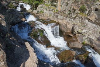 Thundering waterfall over rocks in a quiet forest, clear flowing water, Cascada del Diablo, Devil's