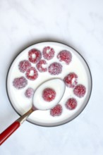 Raspberries with milk in skin, Rubus idaeus