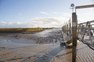 Low water, Ems, silt inflow, ferry harbour, Petkum, East Frisia, Germany, Europe