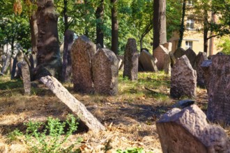 Old Jewish Cemetery, Prague, Czech Republic, Europe