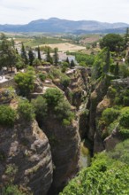 Deep ravine with green vegetation surrounded by white buildings and mountain landscape in Ronda,