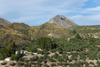 A picturesque view of green fields and mountains under a blue sky, near Bedmar y Garcíez, Bedmar y