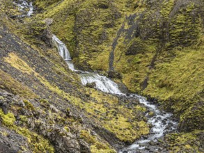 Small river flows in the moss-covered gorge Nauthusagil, Katla Geopark, Iceland, Europe