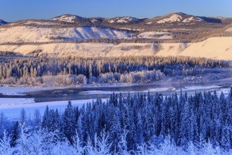 River, riverbed, river delta, icy, snowy, fog, mountains, conifers, morning light, winter, Yukon